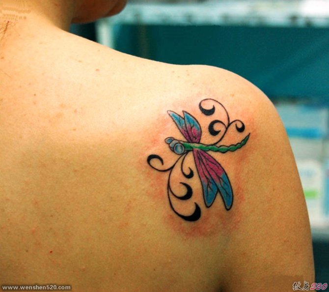 女人喜欢的漂亮的蜻蜓纹身图案