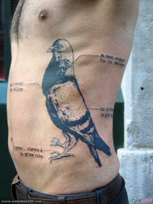 男子侧肋上带解说的鸽子纹身图案
