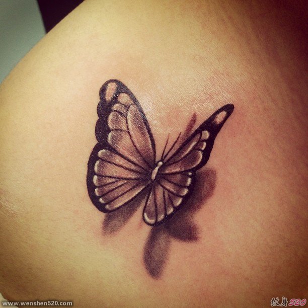 女性肩膀上漂亮的3D蝴蝶纹身图片