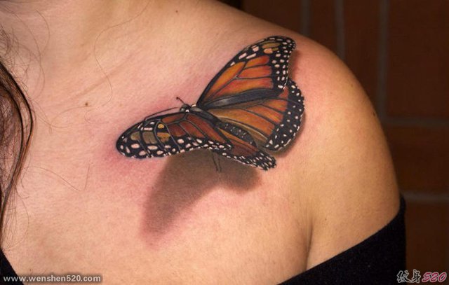 女性肩膀上漂亮的3D蝴蝶纹身图片