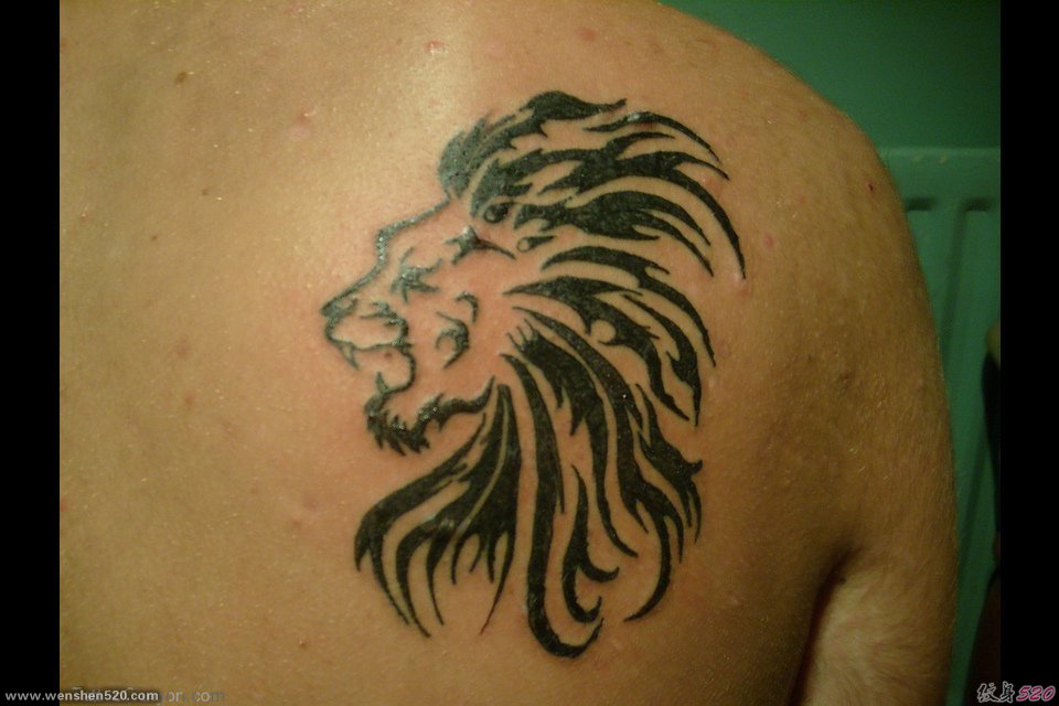 男子右背上帅气的狮子图腾纹身图案