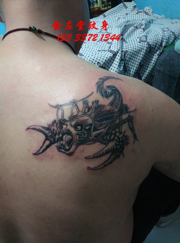 蝎子纹身  金左堂纹身 盖瘢痕 修改纹身 安阳纹身 水冶纹身