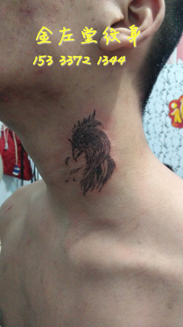 鹦鹉纹身  金左堂纹身 盖瘢痕 修改纹身 安阳纹身 水冶纹身