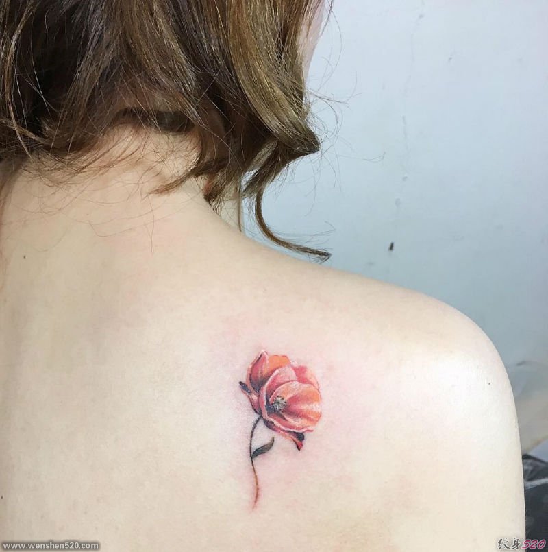 24款漂亮的罂粟花纹身图案
