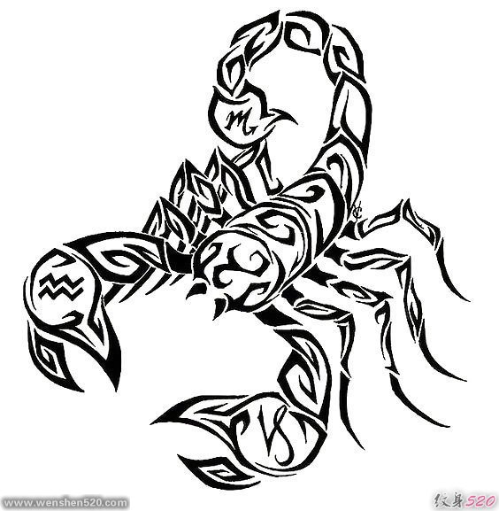 黑色传统蝎子部落图腾纹身手稿