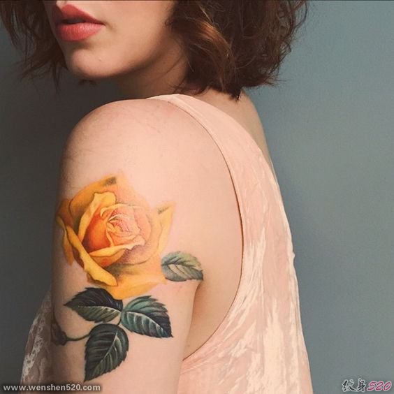 女性手臂上漂亮的玫瑰花纹身图案