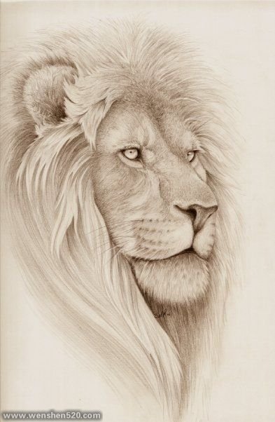 霸气的狮子王纹身图案手稿素材图片