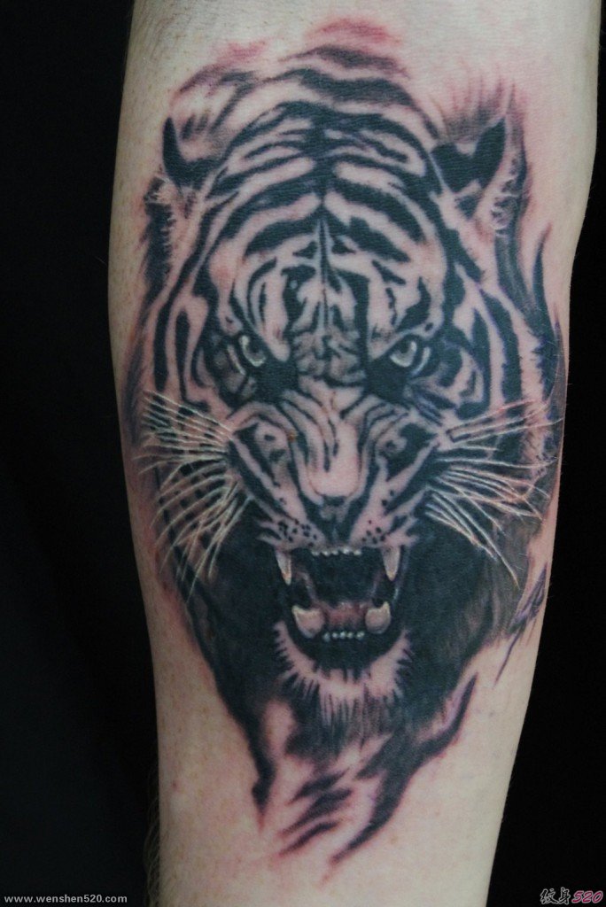 很帅气很凶猛的老虎纹身图案
