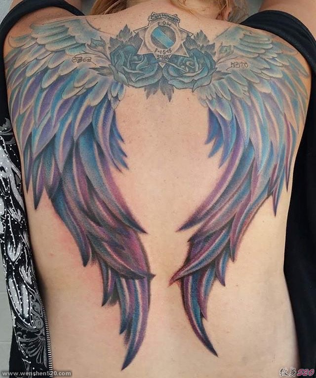 女性满背彩色大翅膀纹身图片