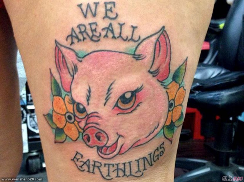 可爱的猪纹身图案