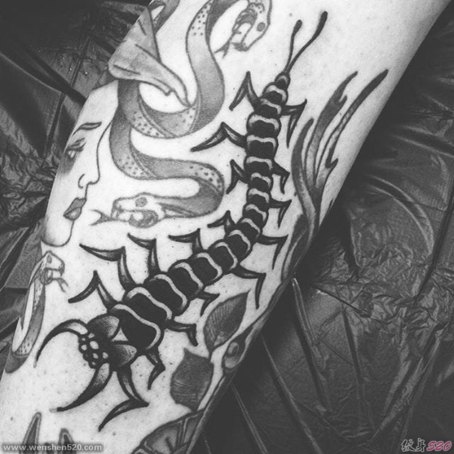 10款漂亮黑色蜈蚣纹身图案