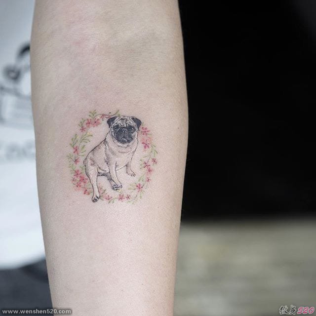 多款微型小清新宠物狗纹身图案来自索尔