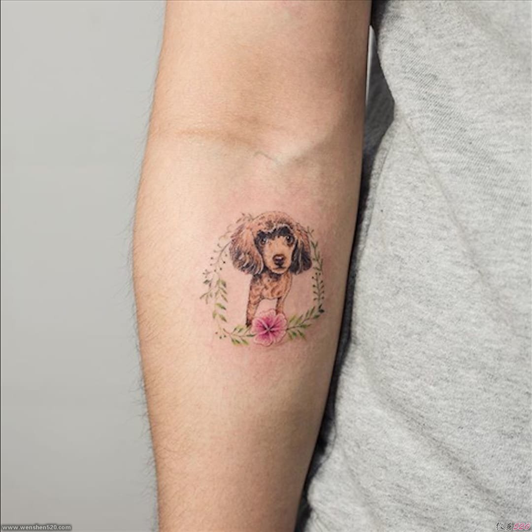 多款微型小清新宠物狗纹身图案来自索尔