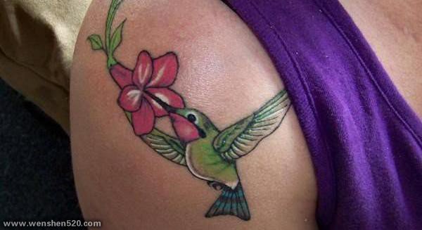 多款女孩喜爱的蜂鸟纹身图案