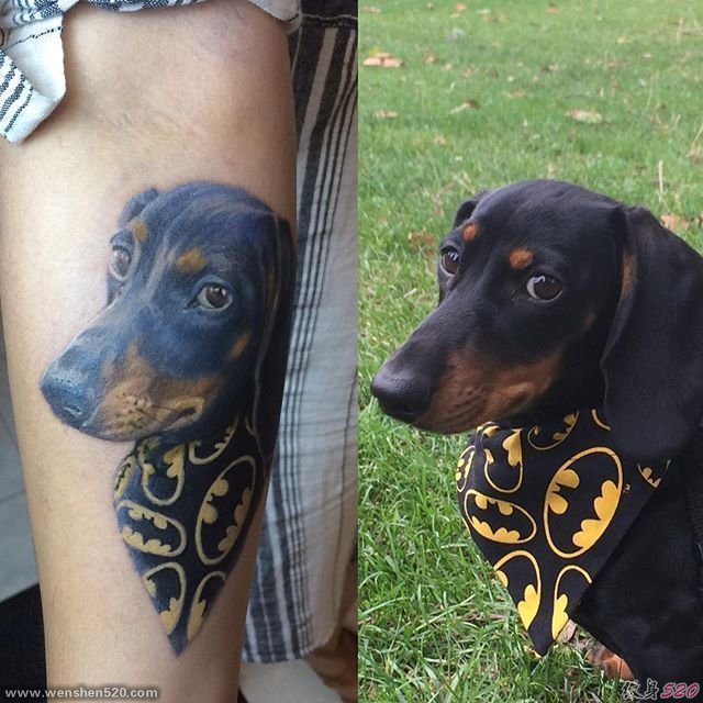 可爱的宠物达克斯猎犬纹身图案