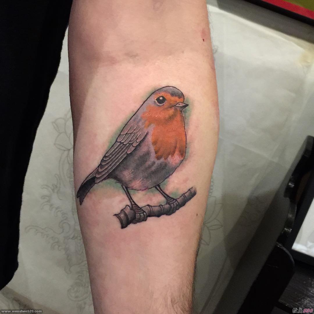 手小臂上可爱的小鸟纹身图片
