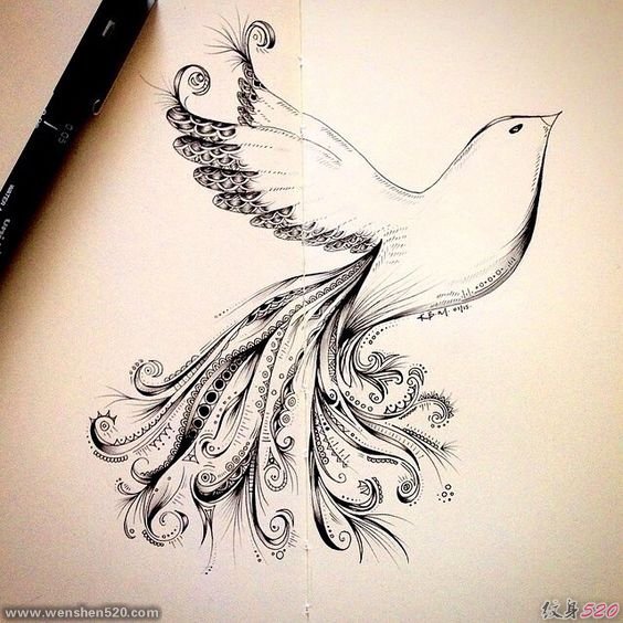 简洁帅气的鸽子纹身图案手稿素材