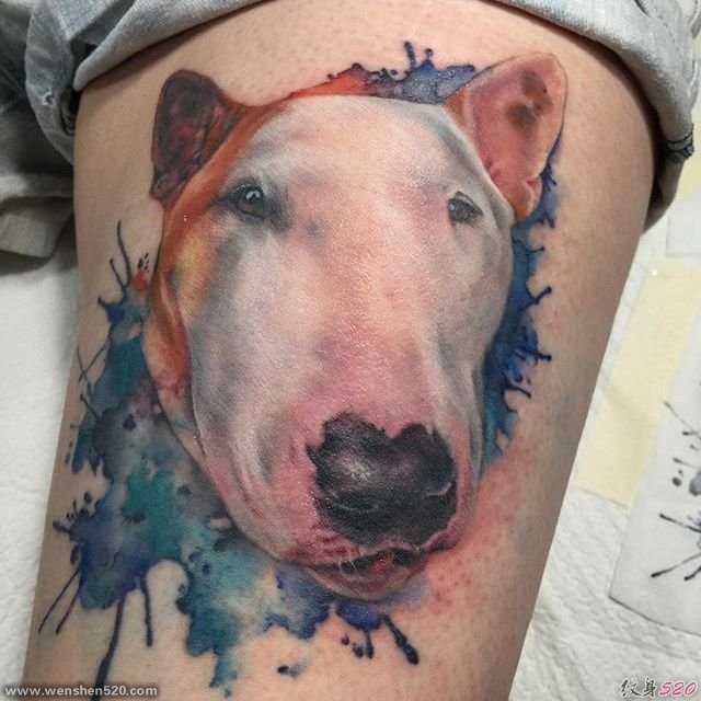 11款厉害的宠物狗（牛头梗）纹身图案