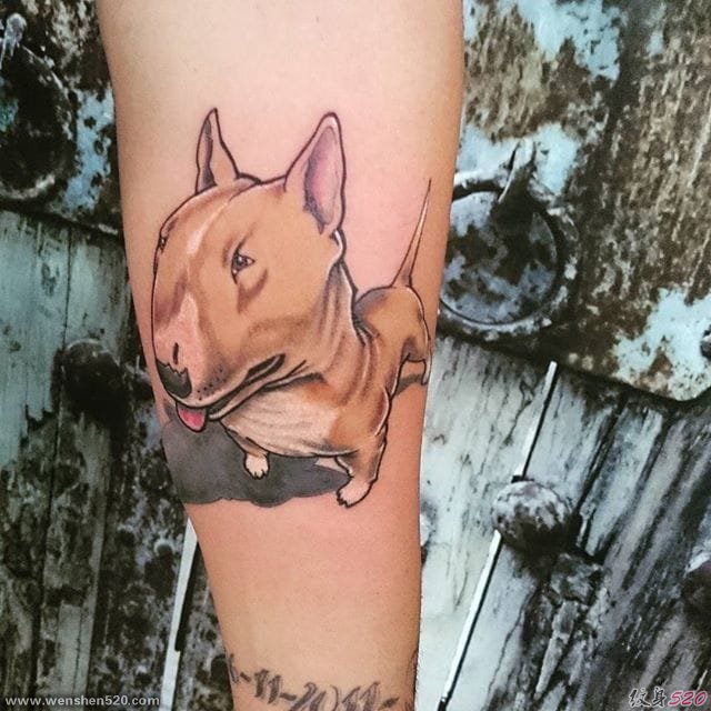 11款厉害的宠物狗（牛头梗）纹身图案