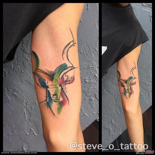 多款惊人的漂亮的水彩纹身图案