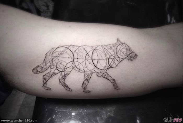 18款霸气的几何纹身狼纹身图案