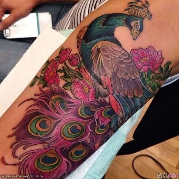 女性手臂漂亮的现实风格孔雀纹身图片