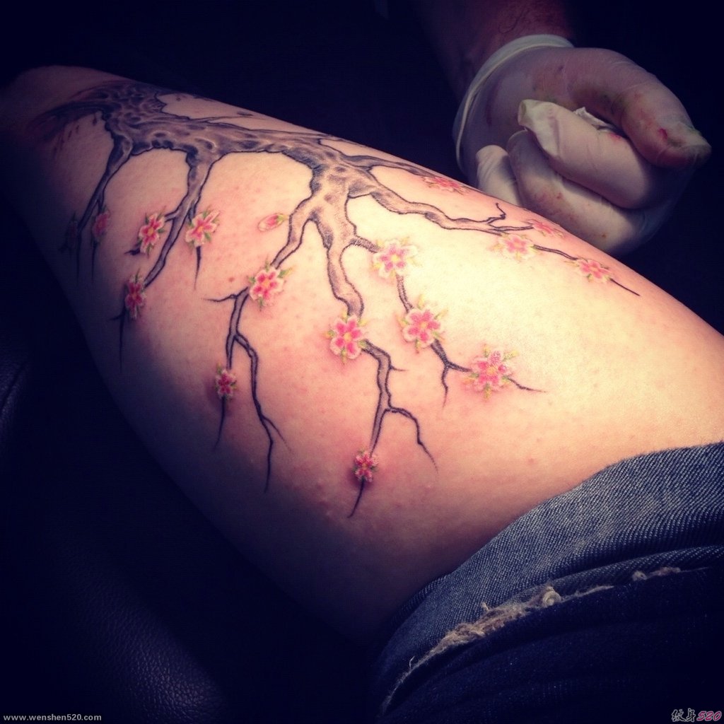 女性喜爱的美丽的樱花纹身图案