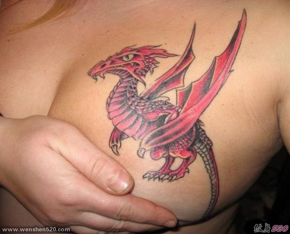 女性胸部上帅气的西方红龙纹身图片