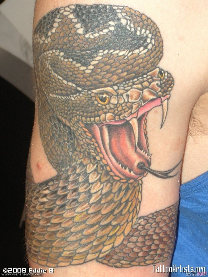 多款手臂上的毒蛇纹身图案