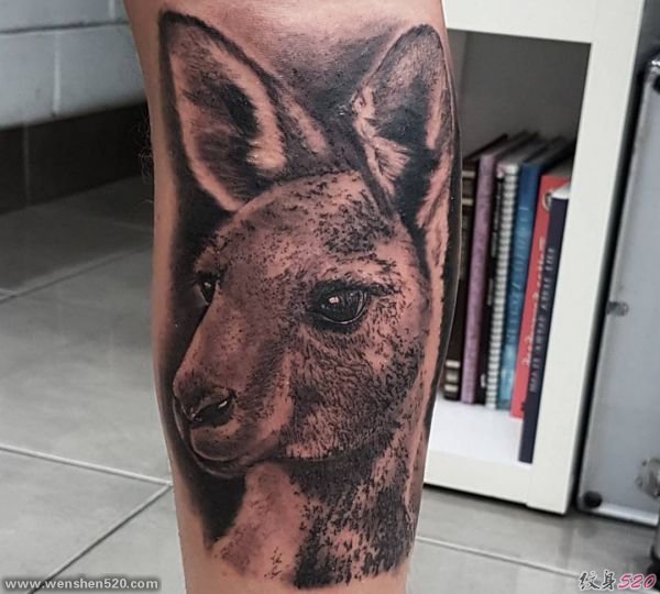 12款可爱的袋鼠纹身图案