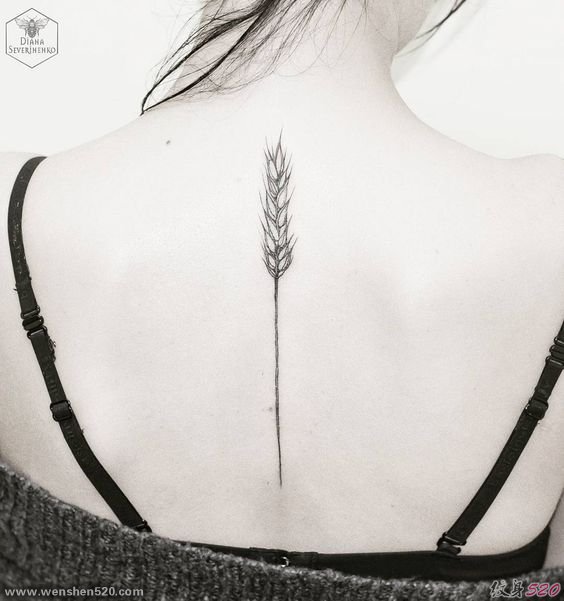 多款精致的小麦穗纹身图案