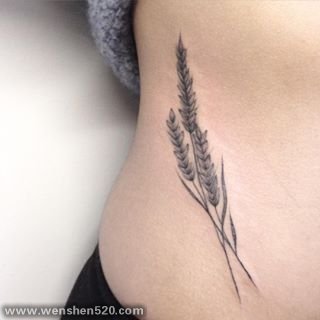 多款精致的小麦穗纹身图案
