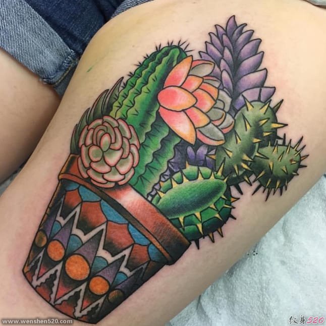 女生喜爱的13款彩色的甜美的多肉植物纹身图案