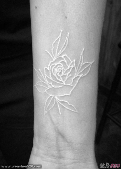 女性的精致的白色玫瑰花隐形纹身图案