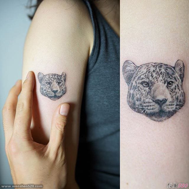 多款微型的极其精致的动物纹身图案