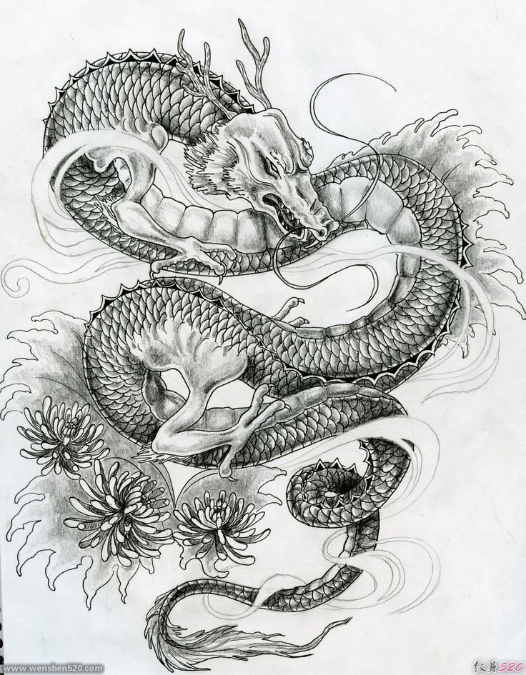 一张帅气的龙纹身图案手稿素材