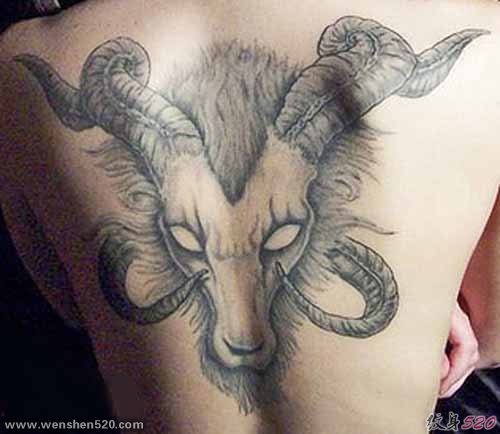 男人背上愤怒的山羊纹身图案