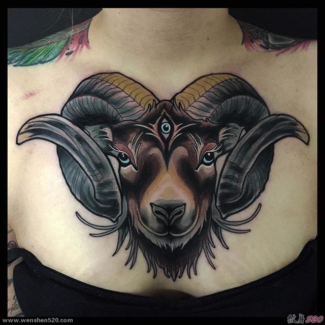 新传统风格的动物头像纹身图案来自于纹身师布莱恩