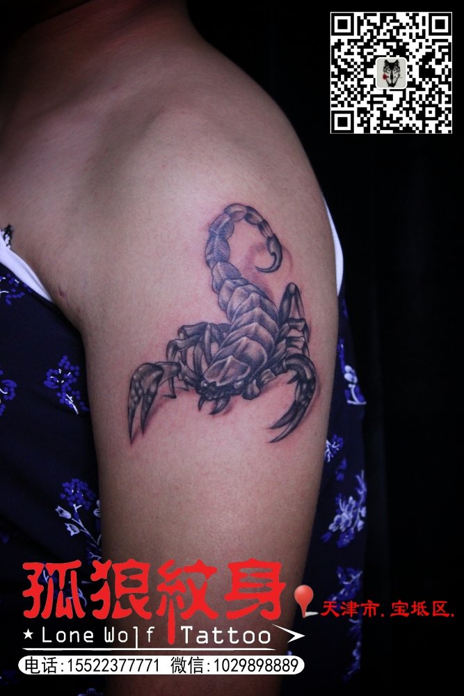 女性左手大臂蝎子纹身 孤狼纹身工作室老狼作品