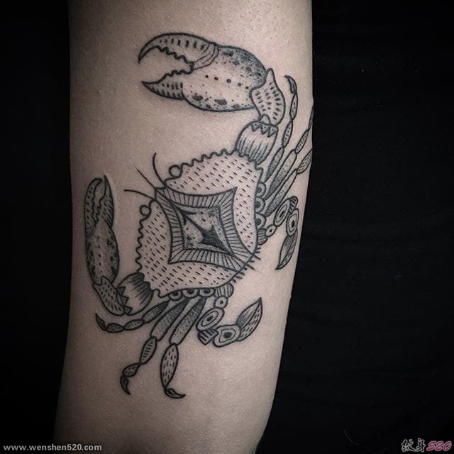 黑灰色动物图案纹身来自于纹身师西尔维