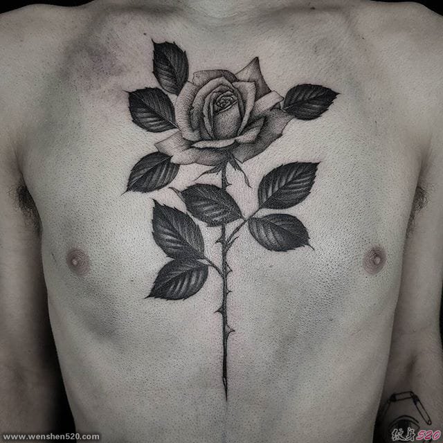 漂亮的黑灰色细线条玫瑰花纹身图案来自于纹身师爱德温