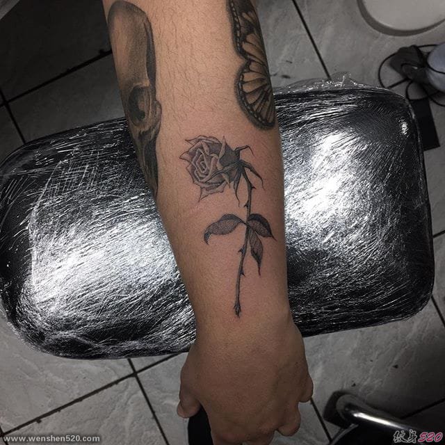 性感迷人的黑灰色纹身玫瑰花纹身图案来自于纹身师奥利弗