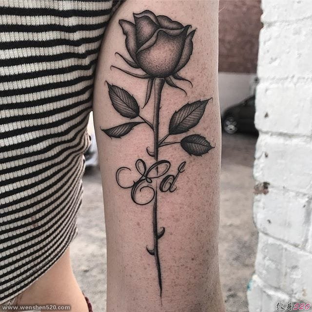 纹身玫瑰花纹身图案来自乔丹·霍伯