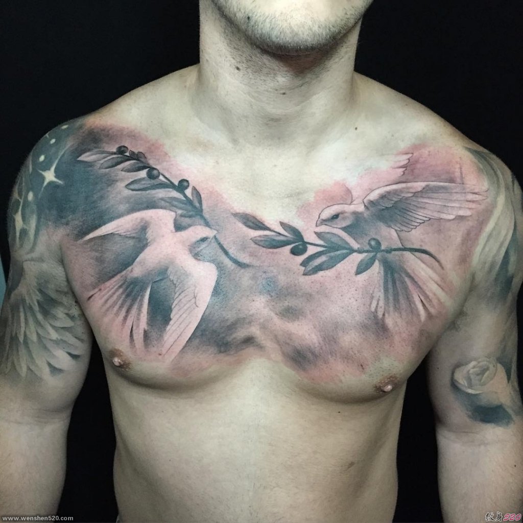 男性胸部上的白鸽纹身图案