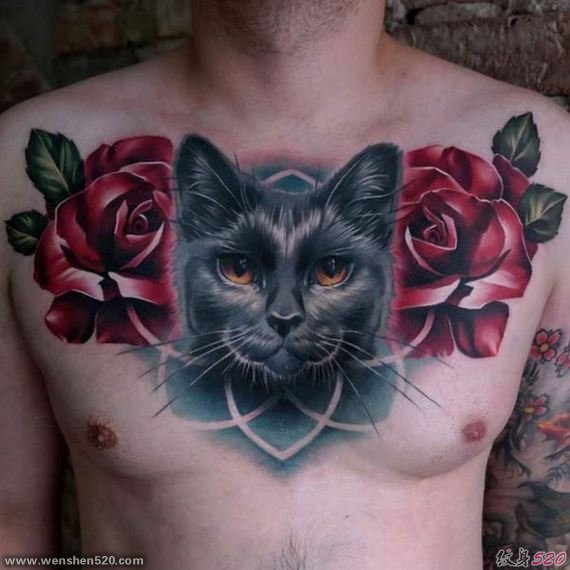 男性满胸漂亮的玫瑰花和猫纹身图片