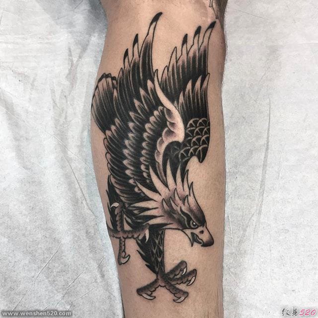 邪恶的传统纹身动物图案纹身来自纹身师弗兰基