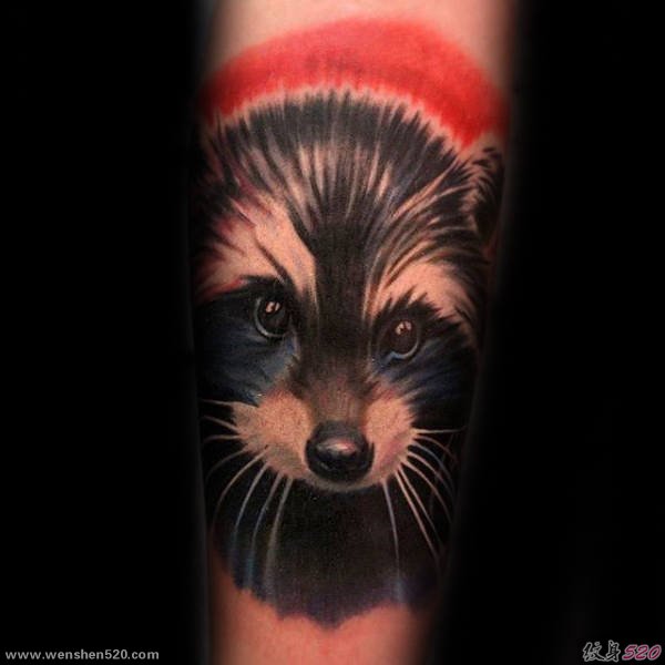 男性手臂上的各种可爱的浣熊纹身图案
