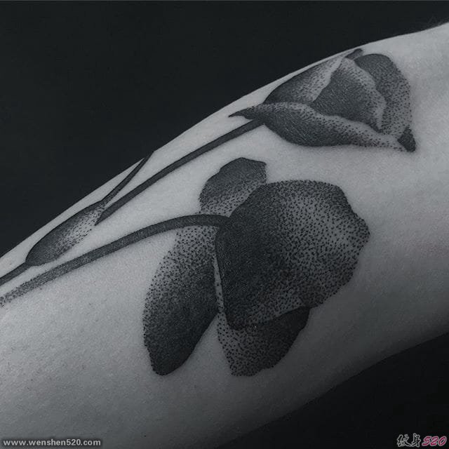 令人难以置信的黑色植物花纹身图案来自吉纳
