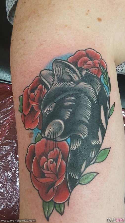 腿上漂亮的红色玫瑰花和黑色小猫纹身图片