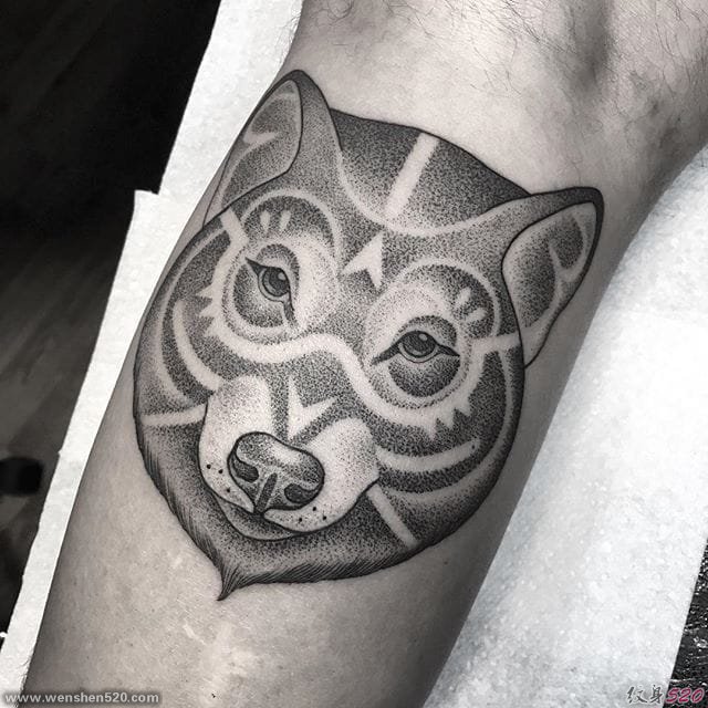 各种风格动物图案纹身来自于纹身师艾米